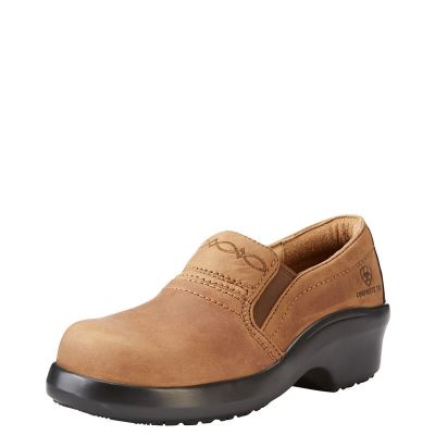 Ariat Expert Safety SD - Klompen Schoenen Bruin Dames - 18788-253